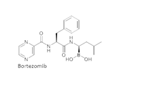 Bortezomib